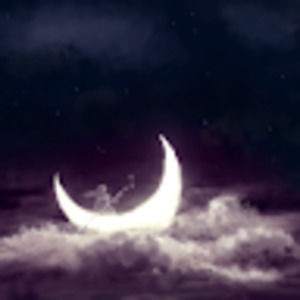 Meet your Posher, Ariel